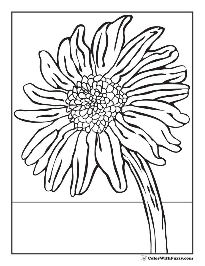 Lovely Sunflower Coloring Pages for Toddlers