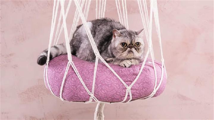 Make Your Own Macrame Cat Bed