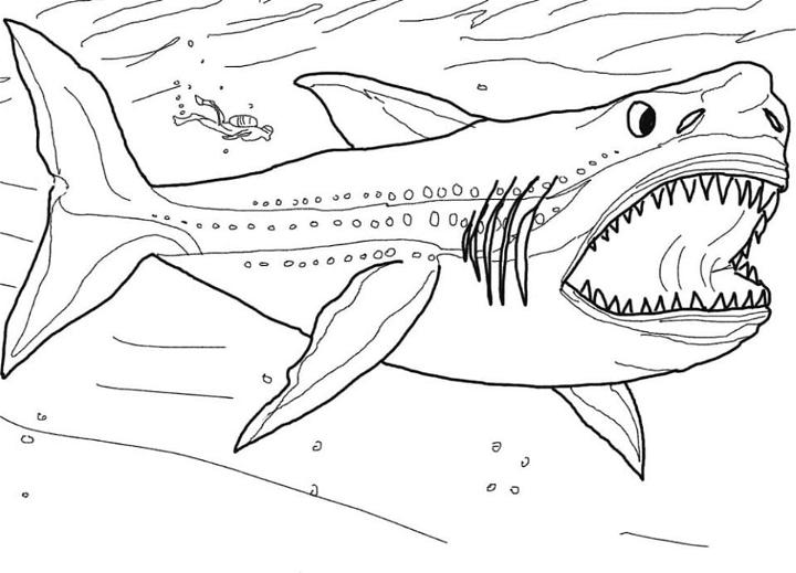 Megalodon Shark Coloring Pages