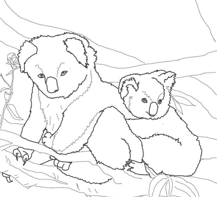 Mother and Baby Koala Coloring Pages