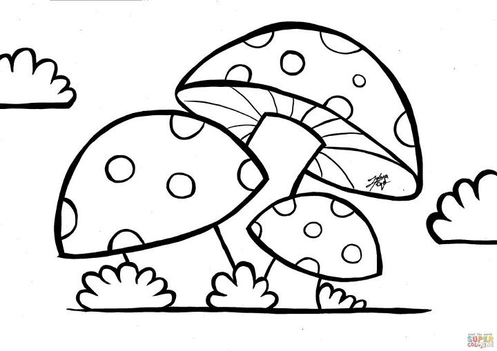 Mushroom Coloring Book Page