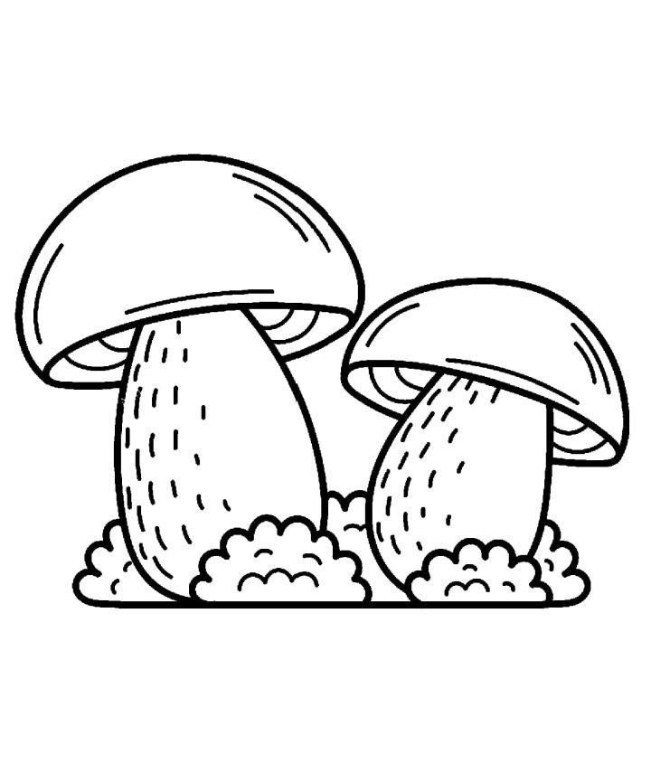 Mushrooms Coloring Pages for Toddlers