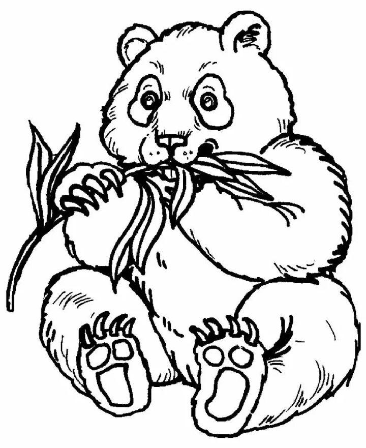 Panda Coloring Pages and Activities