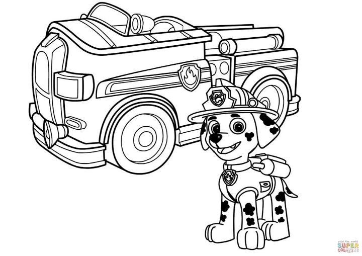 Paw Patrol Marshall with Fire Truck Coloring Page