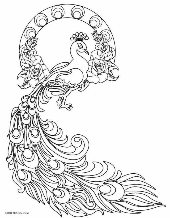 25 Free Peacock Coloring Pages For Kids And Adults