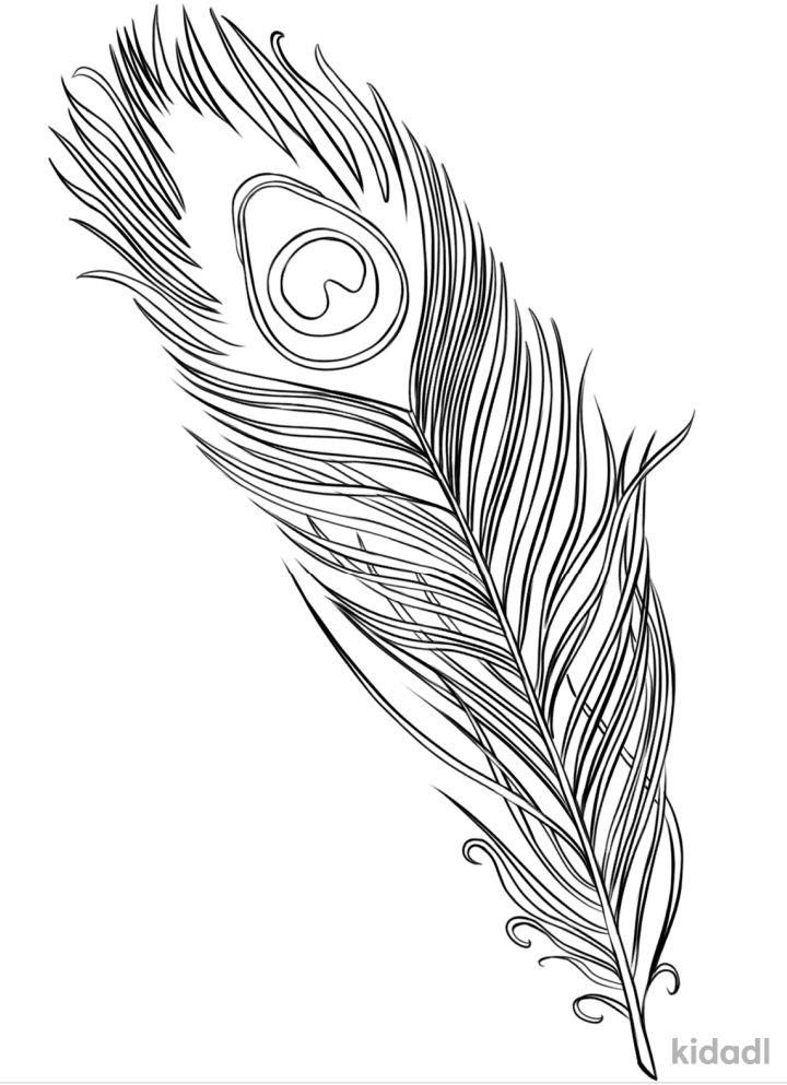 Peacock Feather Coloring Pages