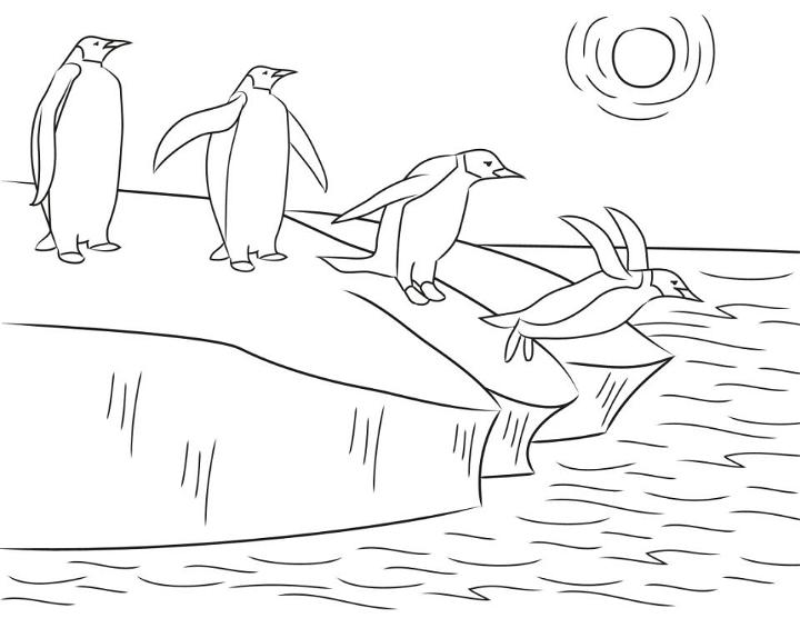 Penguin Coloring Pages PDF to Download