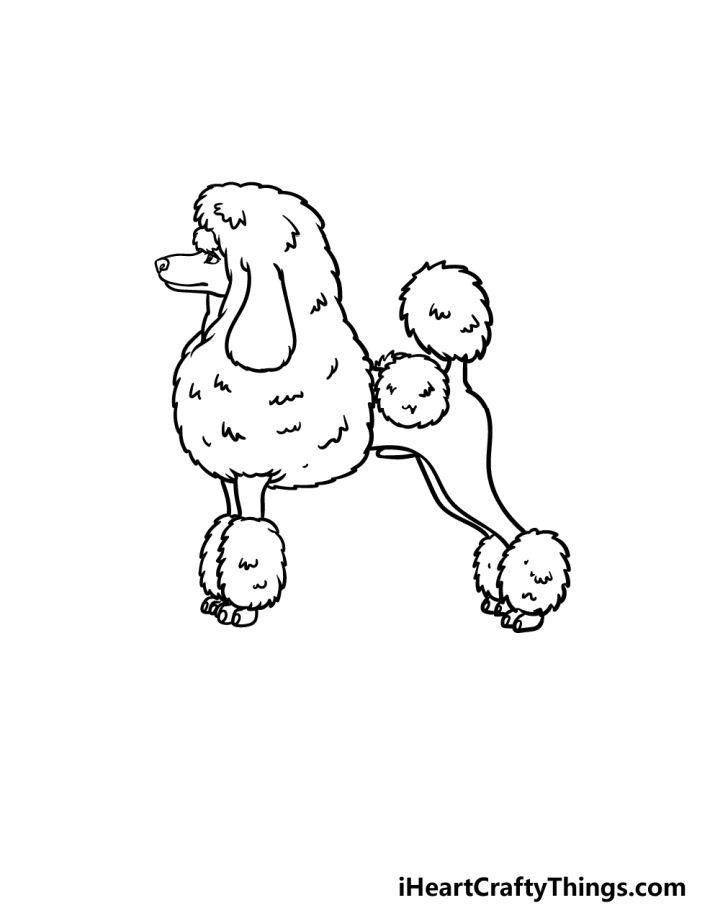 Poodle Drawing Step by Step Guide