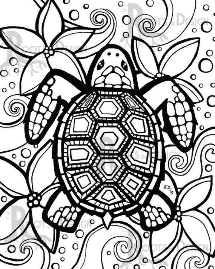 Preschool Turtle Coloring Pages to Print