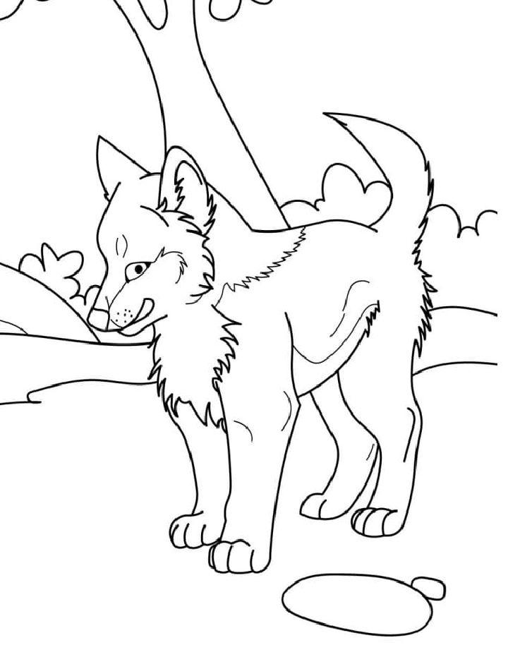 Preschooler's Baby Wolf Coloring Pages