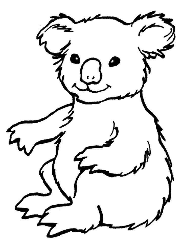 Preschooler's Koala Coloring Pages