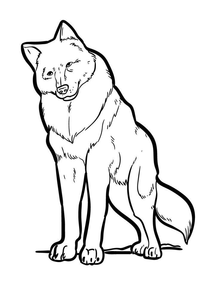 Preschooler's Wolf Coloring Pages