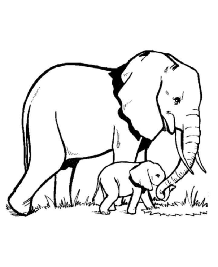 Printable Baby Elephant Coloring Pages