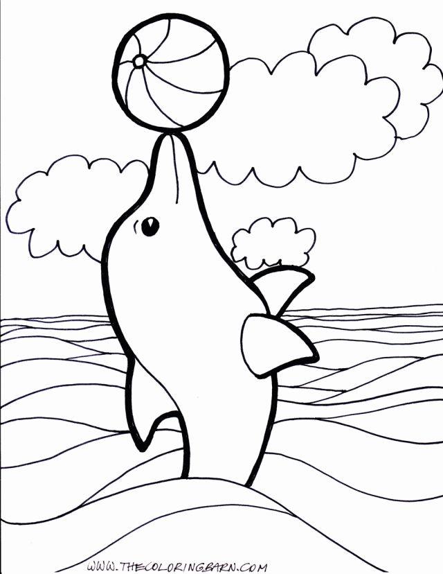 Printable Dolphin Coloring Sheets