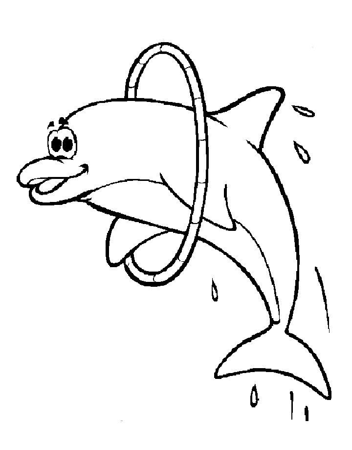 Printable Dolphins Coloring Pages for Kids
