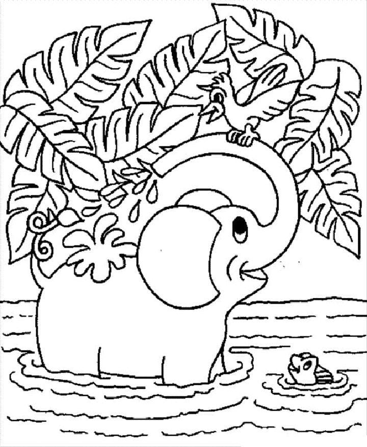 Printable Elephant Coloring Sheet