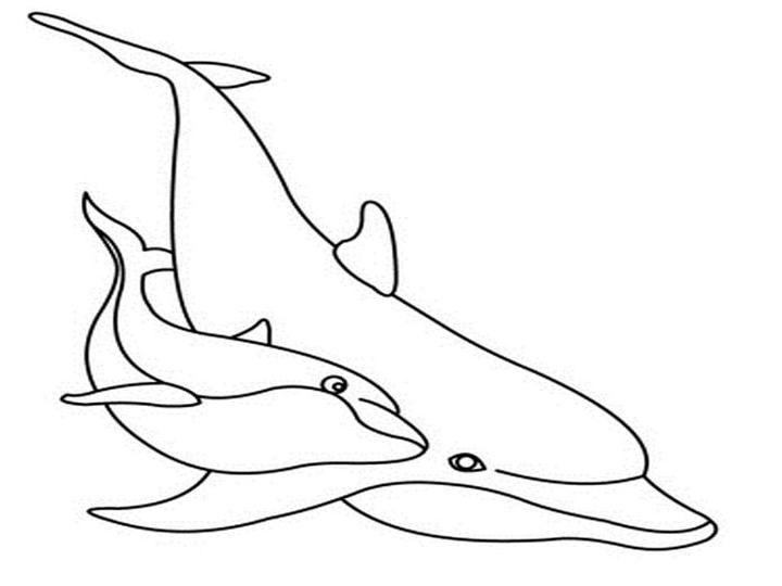 Printable Family Dolphin Coloring Page