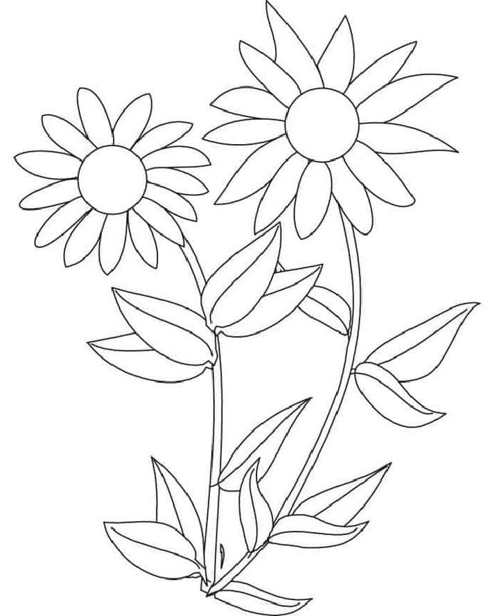 Printable Tangled Sunflower Coloring Pages