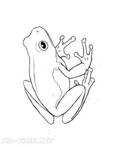 25 Free Frog Coloring Pages for Kids and Adults