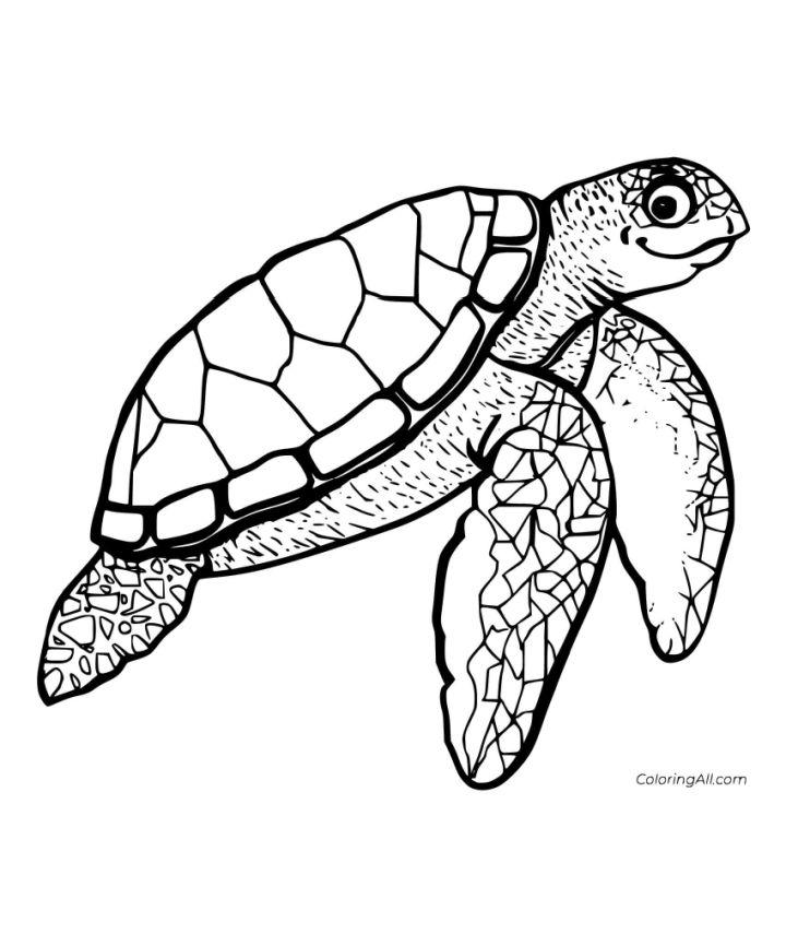 Realistic Sea Turtle Coloring Page