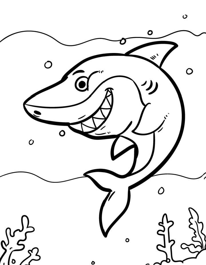 Shark Coloring Pages, Tracer Pages, and Posters