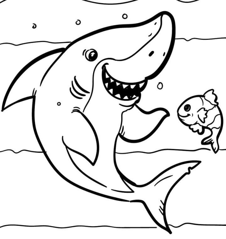 Shark and Fish Coloring Page