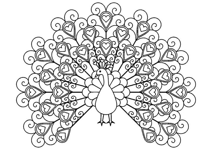 Simple Coloring Page of a Peacock Hearts