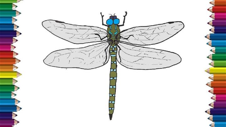Simple Dragonfly to Draw