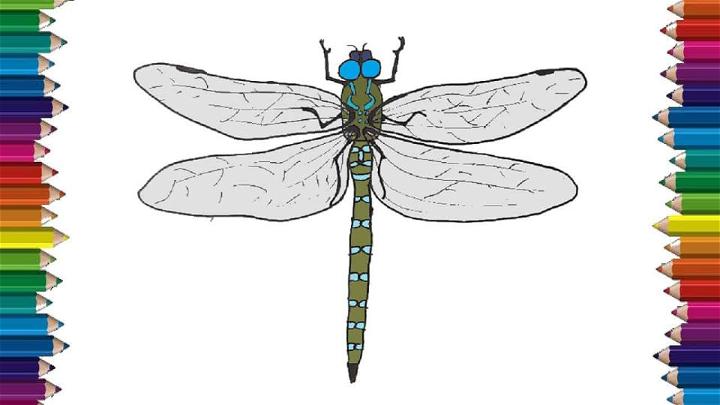 simple dragonfly drawings