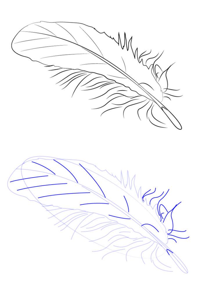 How to Draw a Feather Easy Step by Step Drawing Tutorial for Beginners -  How to Draw Step by Step Drawing Tutorials