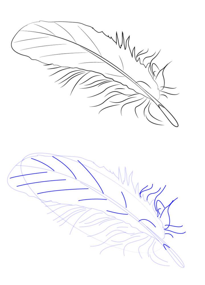 Simple Feather Drawing