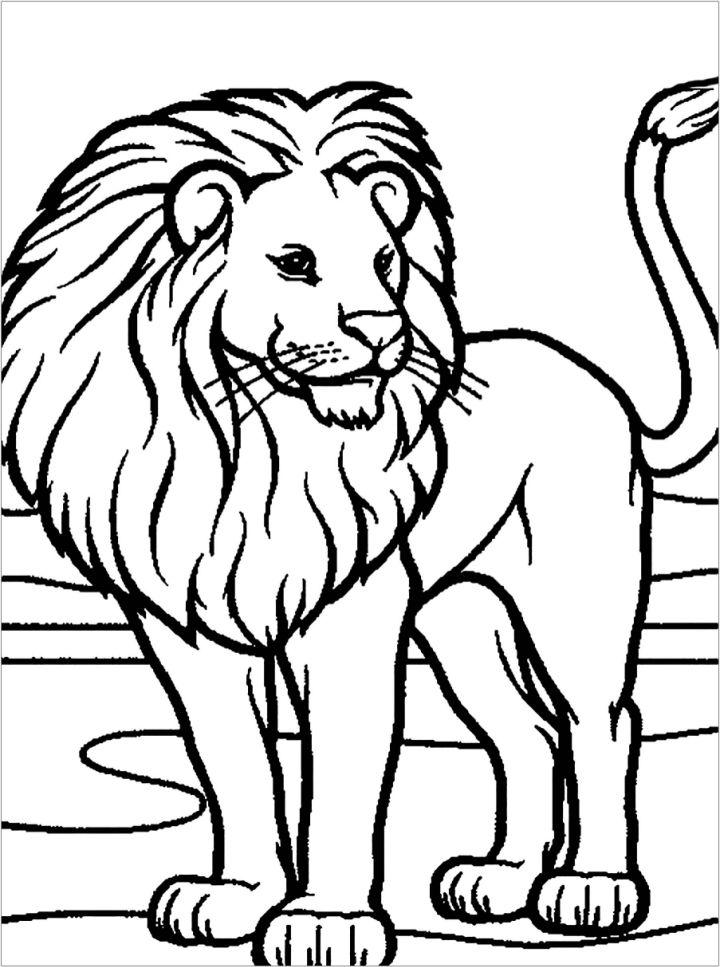 Simple Lion Coloring Page for Children