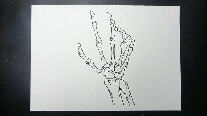 Simple Skeleton Drawing on Hand
