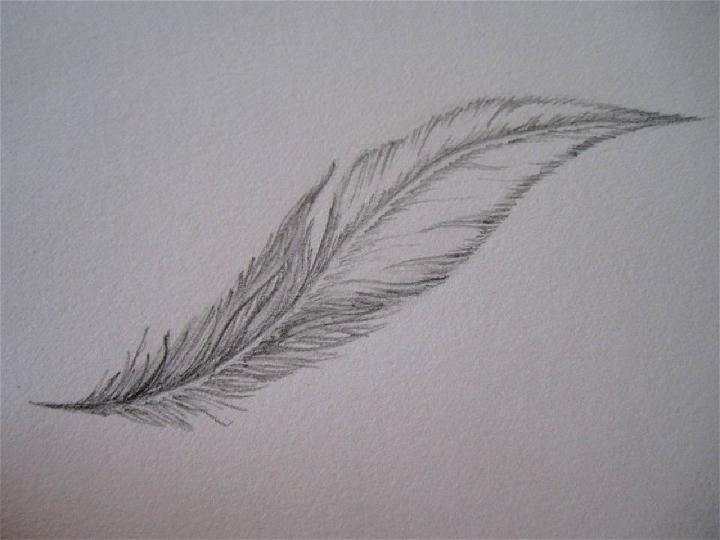 Easy Feather Drawing. How To Draw Step By Step. – Cass Galleas