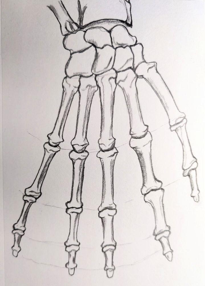Skeleton Hand Drawing Step by Step Instructions