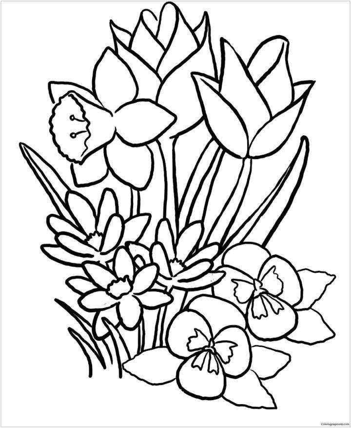 Spring Coloring Pages Printable Free