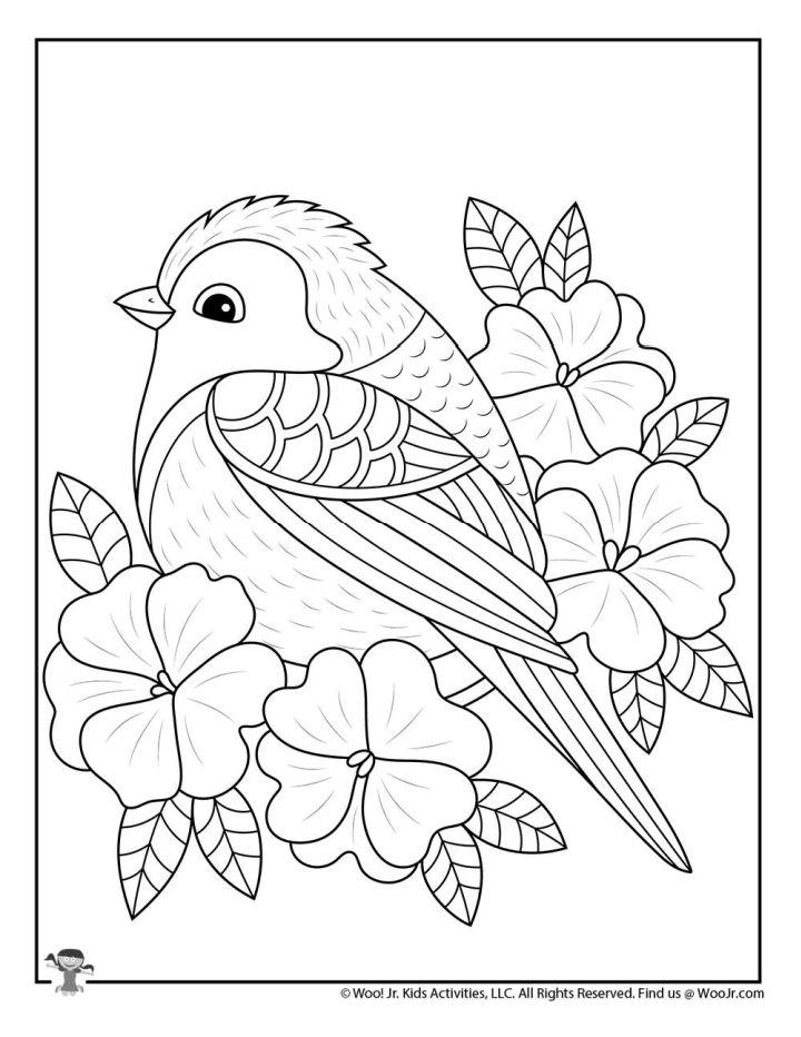 Spring Coloring Pages for Adults