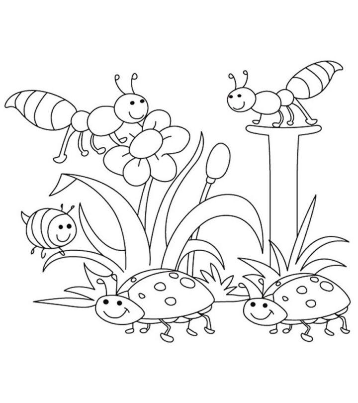 Spring Coloring Pages for Toddler