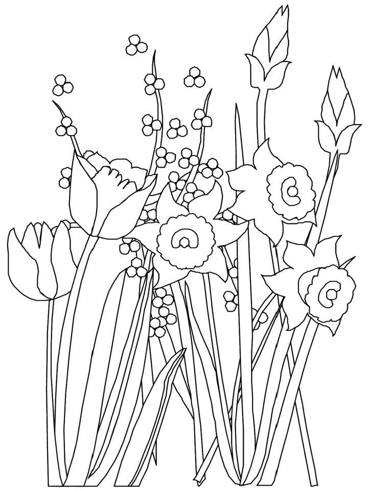Spring Coloring Pages to Print and Color
