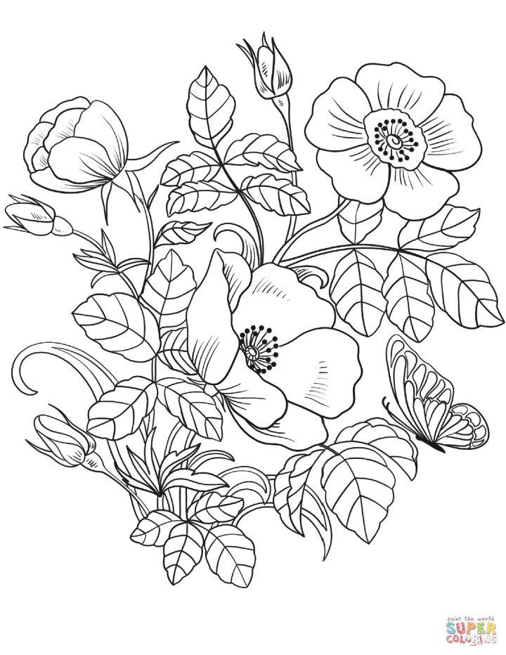 Spring Flowers Coloring Pages, Tracer Pages, and Posters