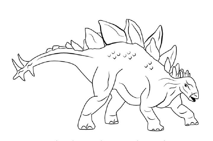 Stegosaurus Dinosaur Drawing