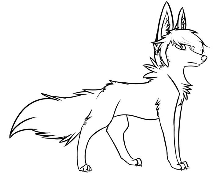 Stylish Wolf Coloring Pages for Kids