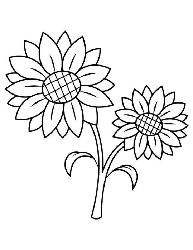 Sunflower Coloring Book Page