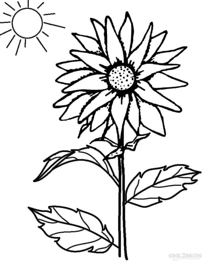 Sunflower Coloring Pages and Printables