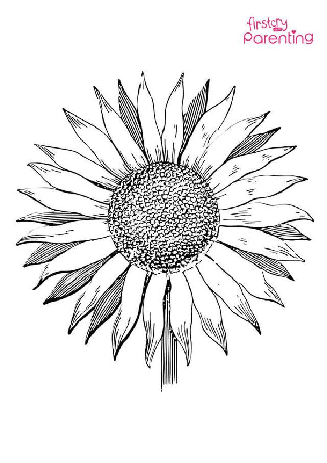 Sunflower Coloring Pages for Little Ones
