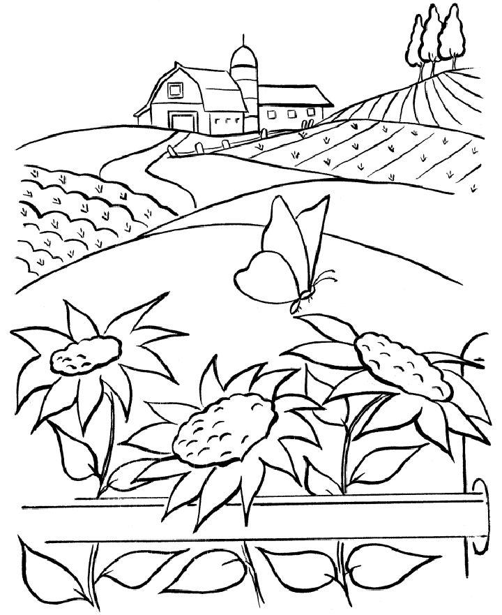 Sunflower Field Coloring Sheet