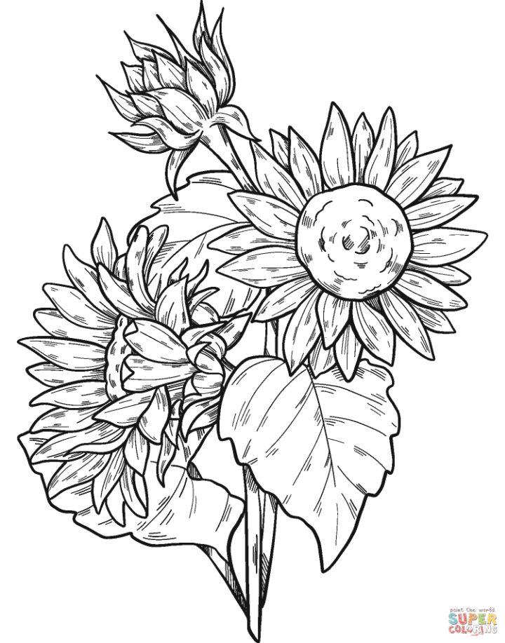 Sunflower Coloring Pages, Tracer Pages, and Posters