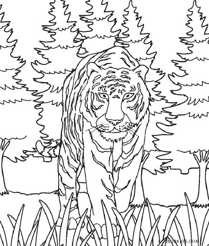 Tiger Coloring Pages, Tracer Pages, and Posters