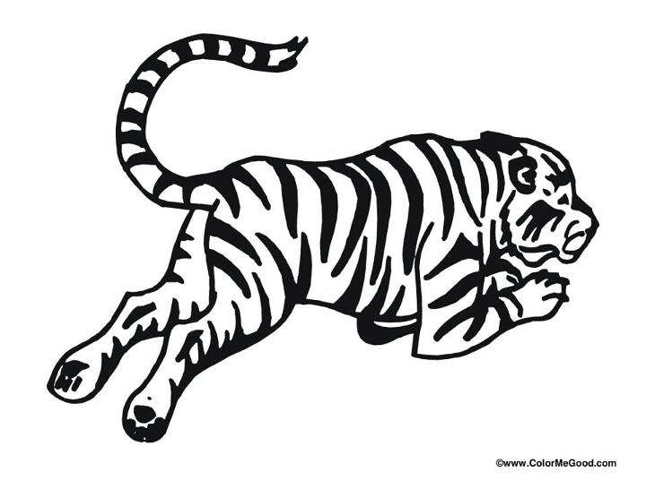 Tiger Coloring Pages for Little Kids