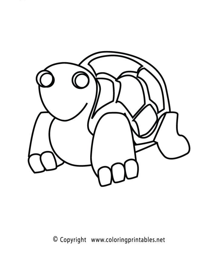Turtle Coloring Pages, Tracer Pages, and Posters